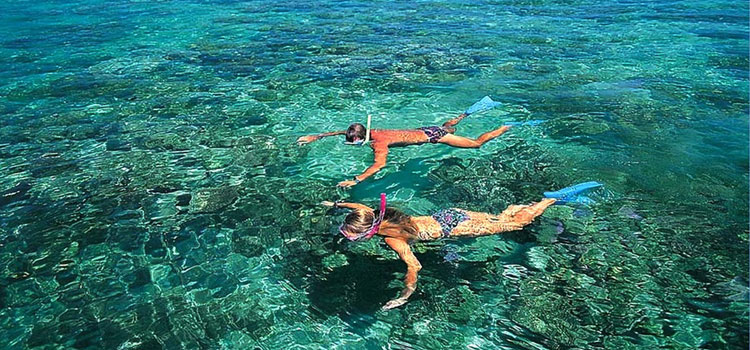 Experience snorkeling in Cu Lao Cham