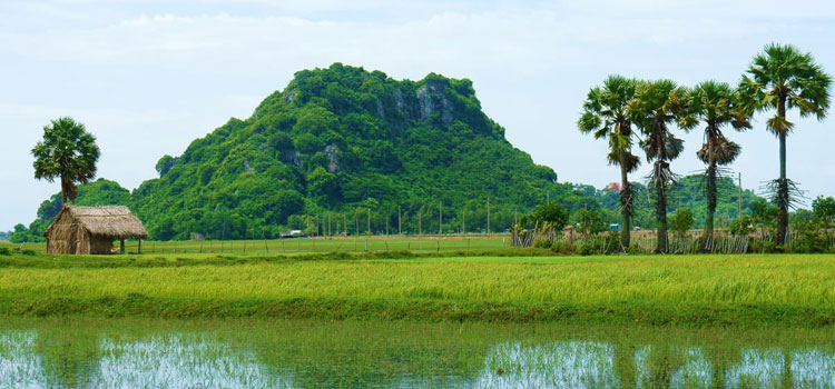 Mekong delta rice fields and mountains
