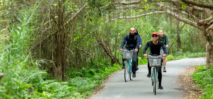 Cycling to discover life on the island