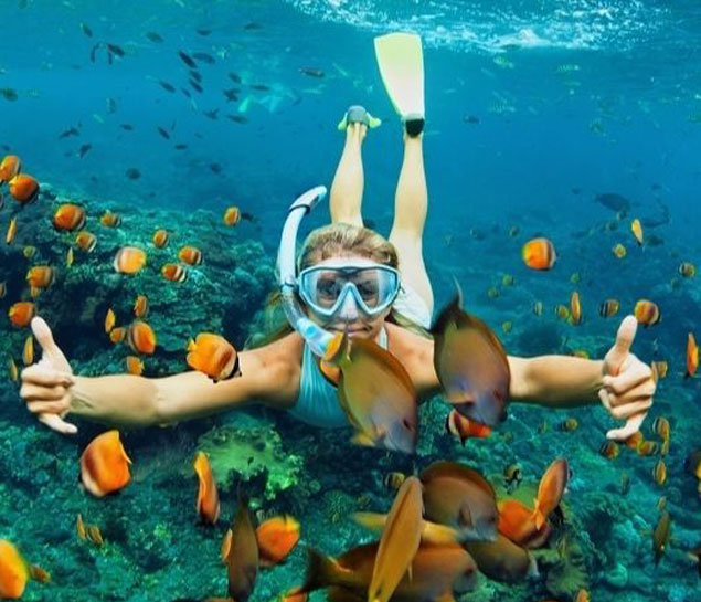 Slide tour Cham island sightseeing and snorkeling tour